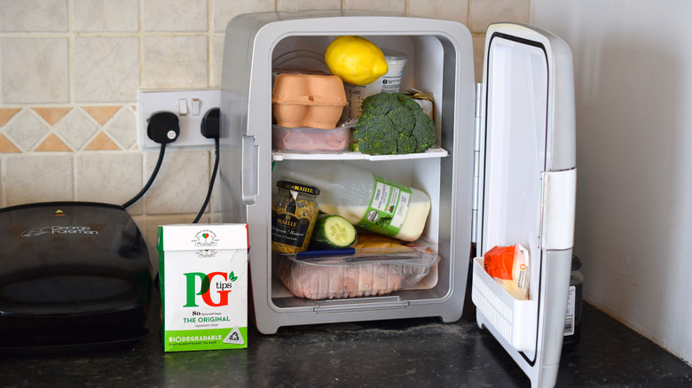 tiny fridge full of food