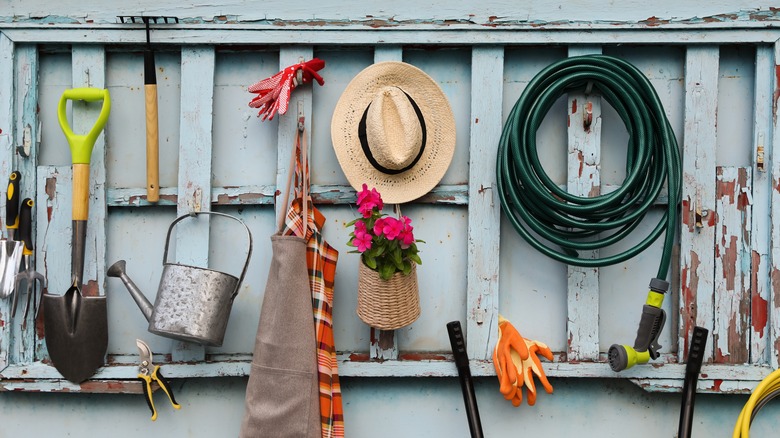 Well organized garden shed