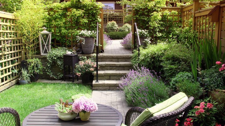 Small townhouse yard