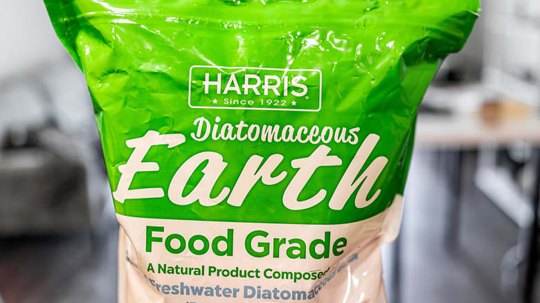 A bag of food-grade diatomaceous earth