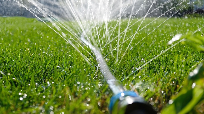 Irrigation system watering a lawn