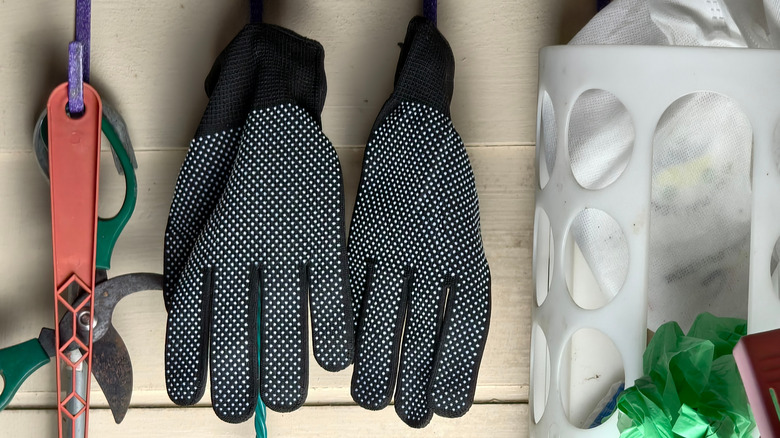 Garden tools such as shears, gloves, and plastic bags hung up on a wall