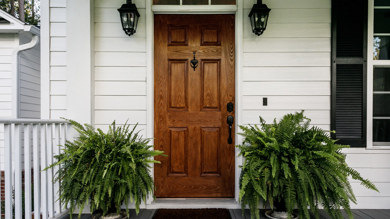 Wood door surrounded by ferns