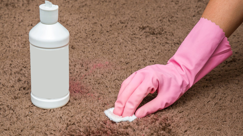 Cleaning carpet with solution