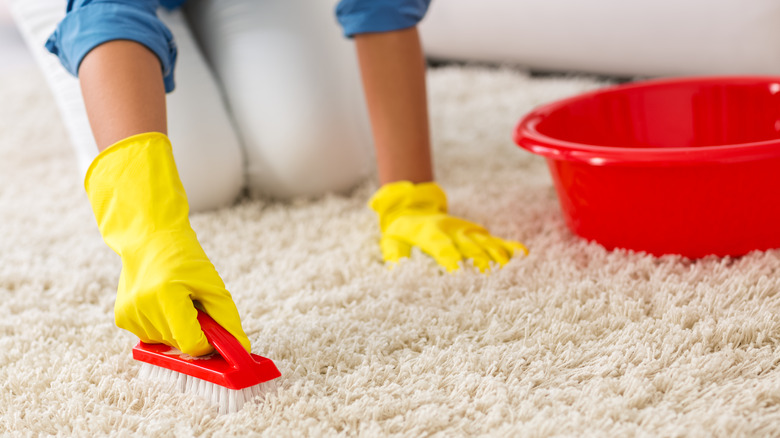 Scrubbing carpet