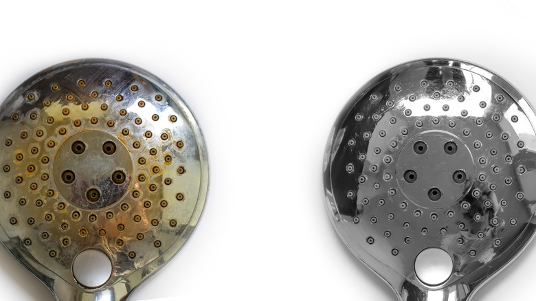 rusty showerhead before and after