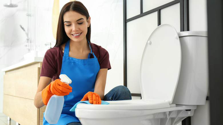 woman cleaning toilet seat