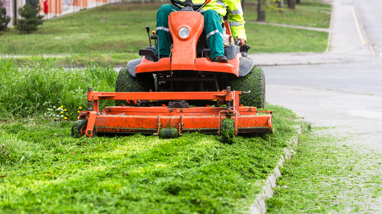Person on riding mower mowing extra tall grass