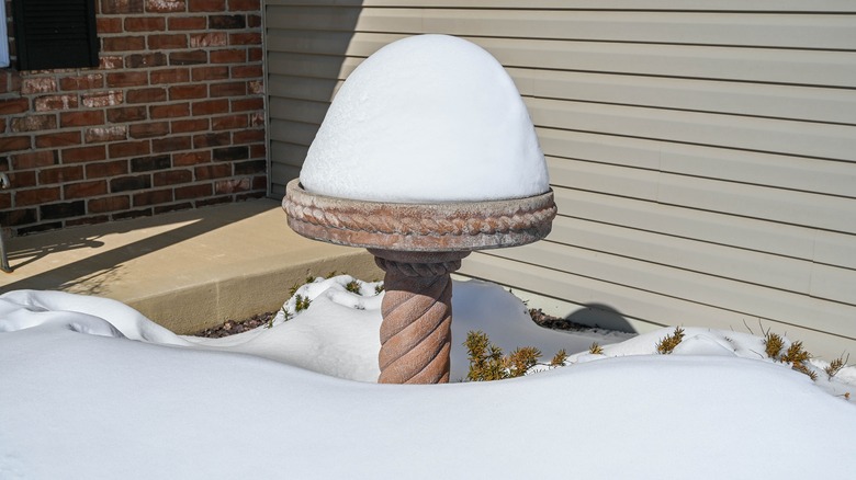 bird bath covered in snow