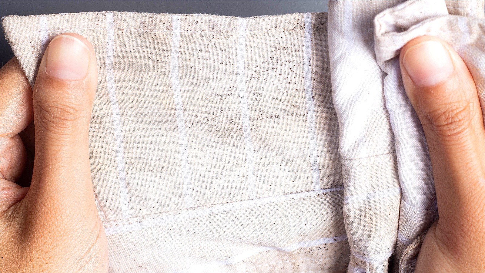Remove mould best sale from fabric