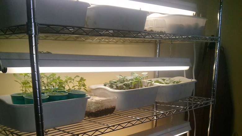 indoor grow shelving system
