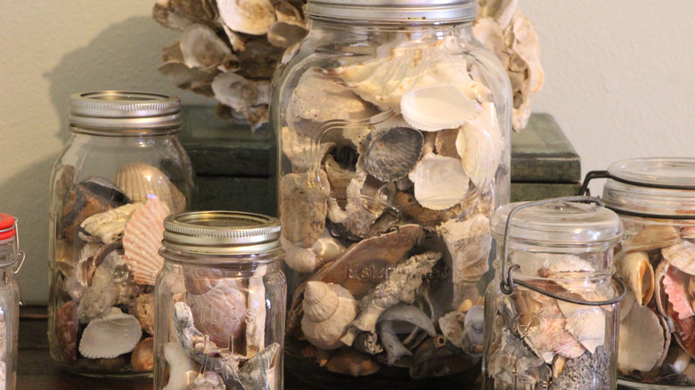 Multiple glass jars filled with seashells on a cabinet