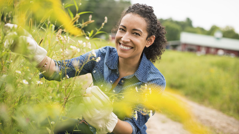 Woman weeding yard