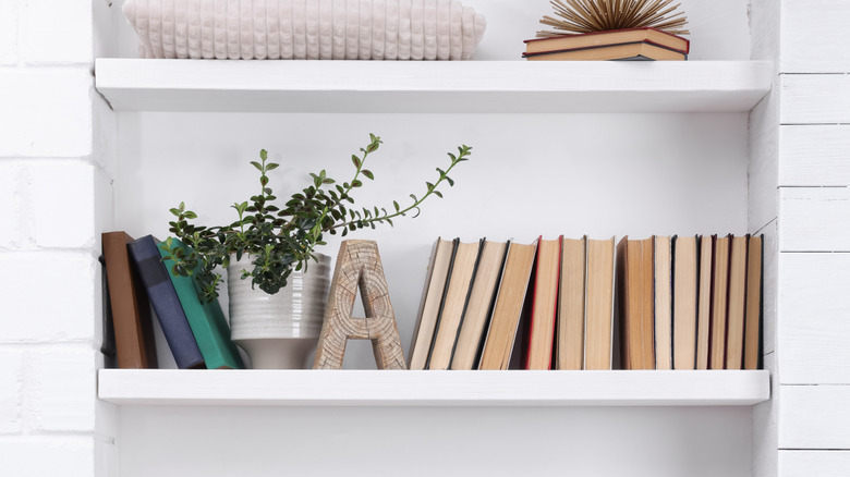 White bookshelves hold a few decorative items and books for an uncluttered presentation.