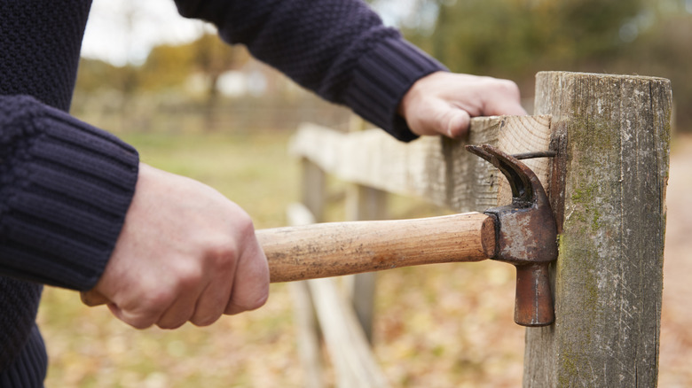 man removing nail from a fence post