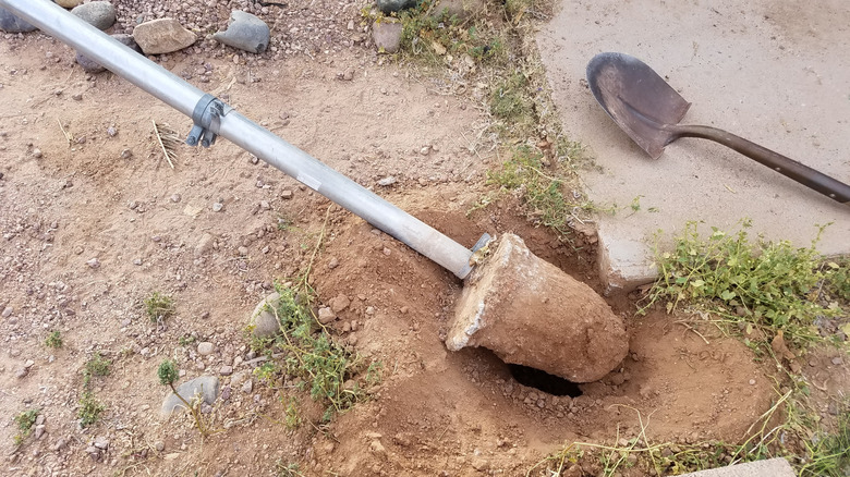 digging up a fence post set in concrete with a shovel