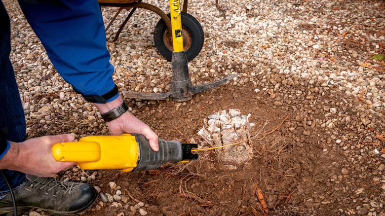 man cutting a stump with a sawzall