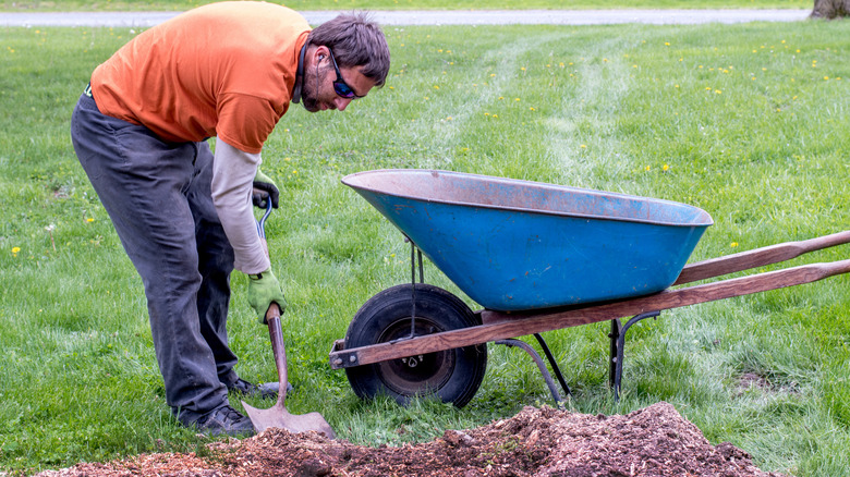 man cleaning up saw dust and mulch after stump removal