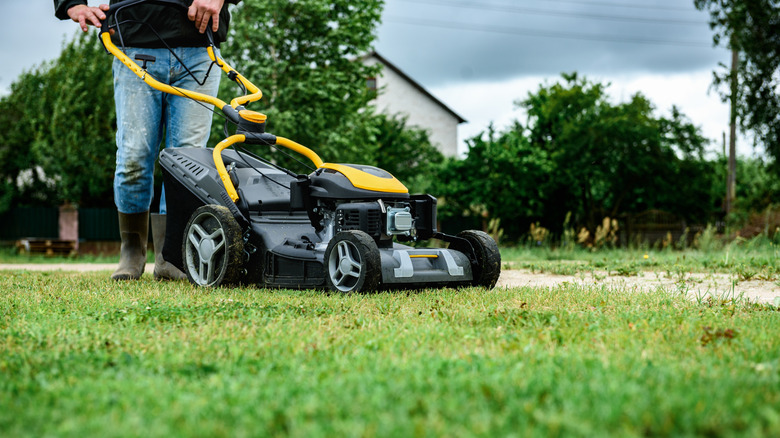 Man using a mower to trim the grass blades in his lawn