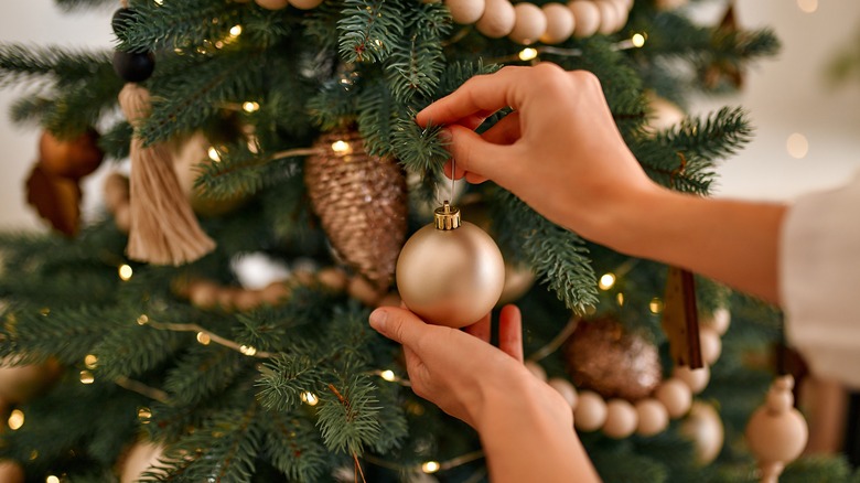 Person putting ornament on tree