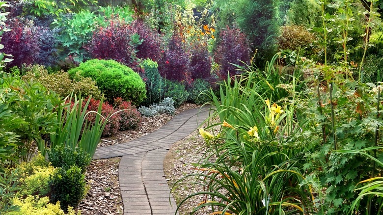 Landscaping with wood chips mulch 