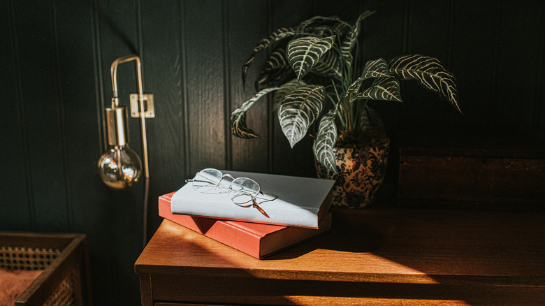 Dim room with dark walls, plant, light, and books sitting on table with sun shining across covers