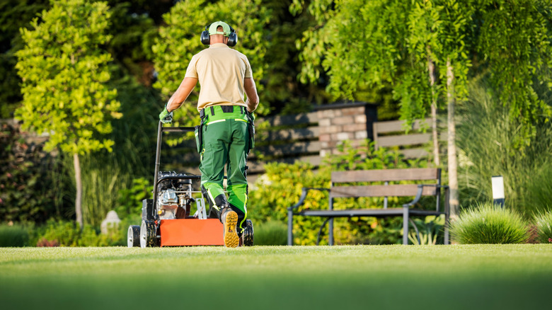 A man aerating the lawn