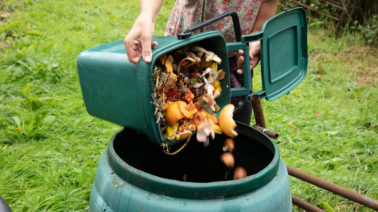 A person putting food waste in compost bin 