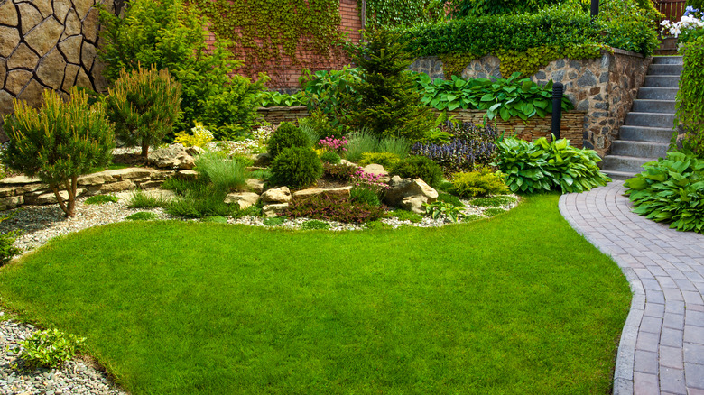 lush garden next to concrete walkway