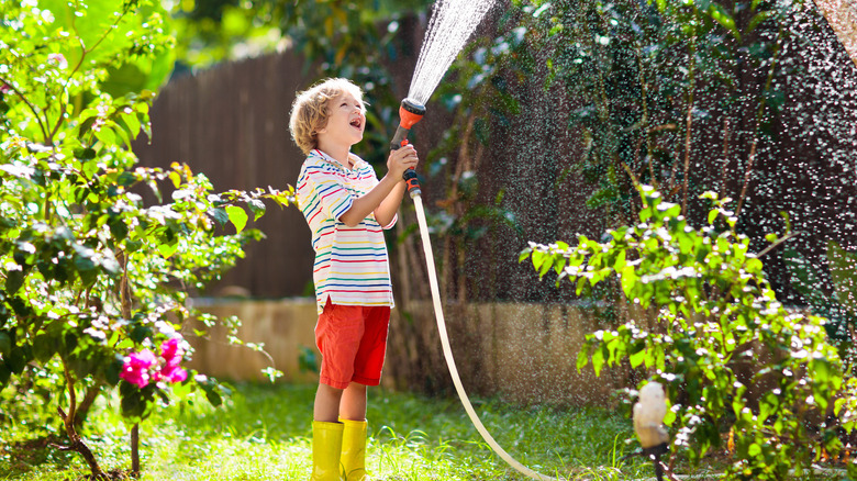 boy spraying hose at plants
