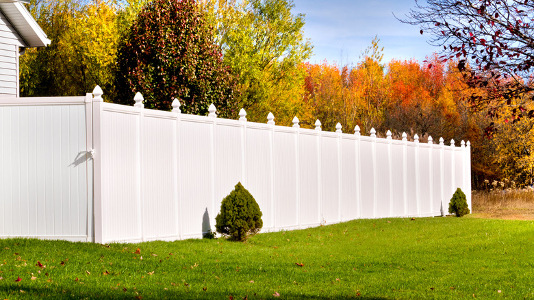 White vinyl fence in a backyard full of fall foliage