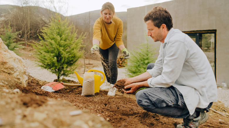 Couple planting grass seeds