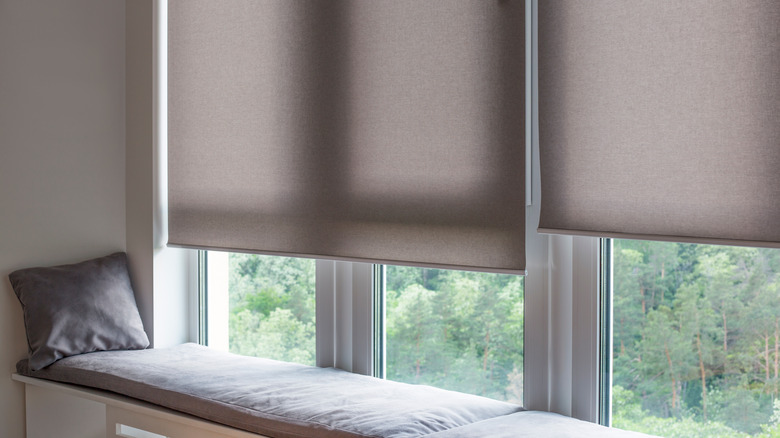windows with roller shades