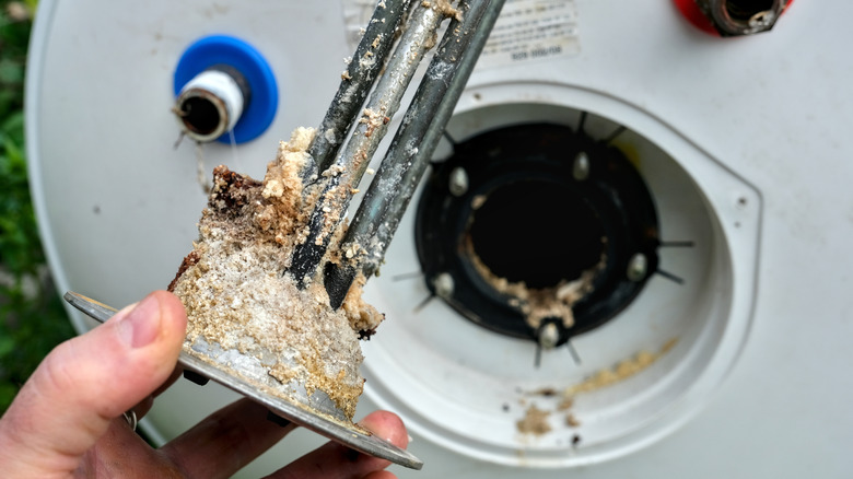 Hand pulling out electric water heater element, covered in sediment
