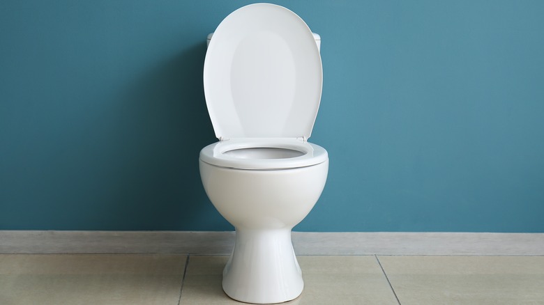 Toilet with blue wall in background