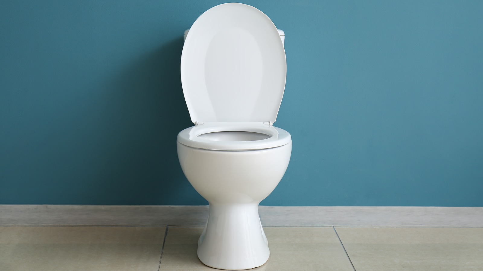 The Biggest Mistakes Everyone Makes With Their Toilet