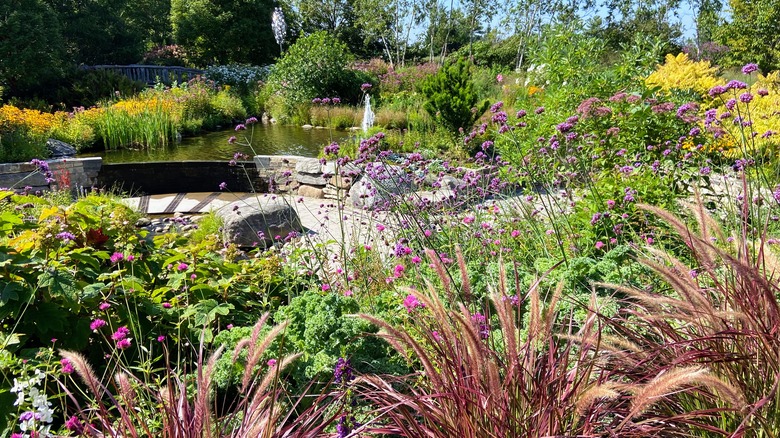Lush, full, and intricate garden