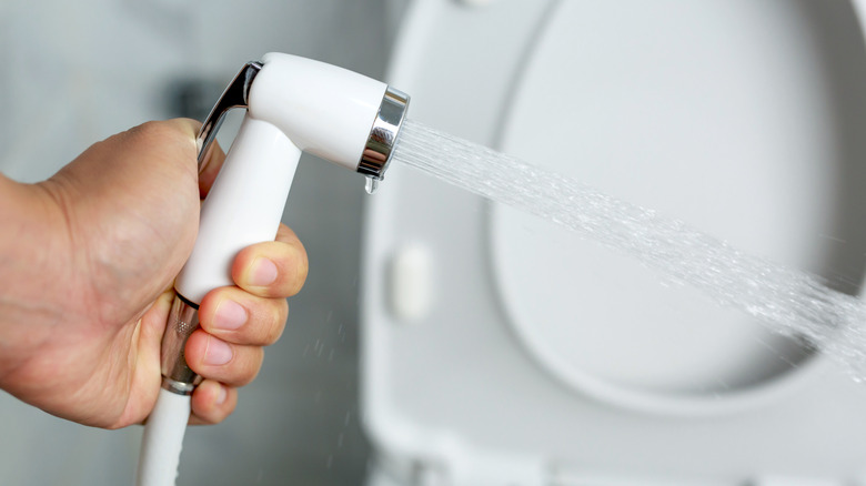 A person sprays a handheld bidet sprayer in front of a toilet