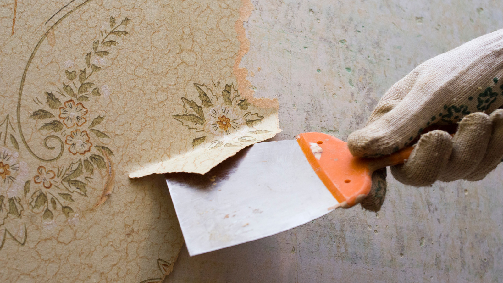 The Biggest Mistakes You're Making When Removing Wallpaper The Biggest Mistakes You're Making When Removing Wallpaper