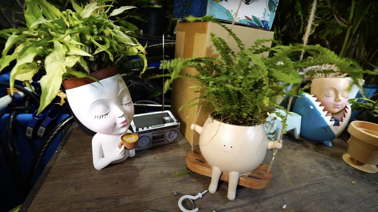 assorted eccentric pots for plants