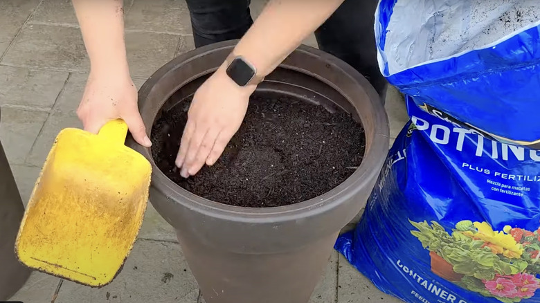 woman filling large plant pot with soil