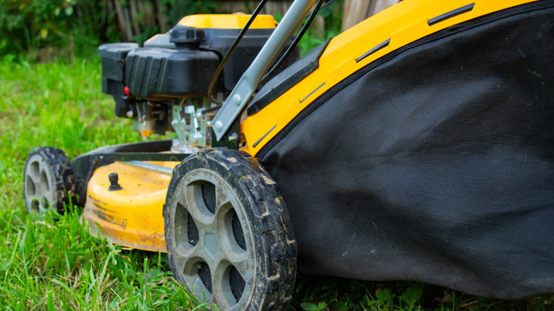 A close-up shot of a yellow lawn mower in an overgrown lawn.