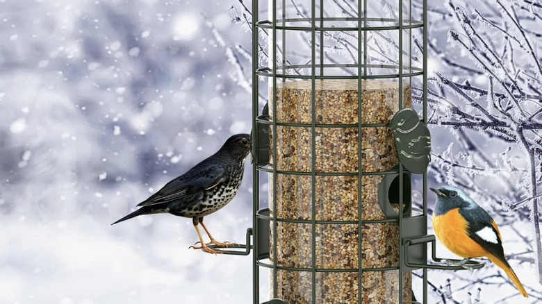 Two birds sit at the Niser metal bird feeder in a snowy landscape