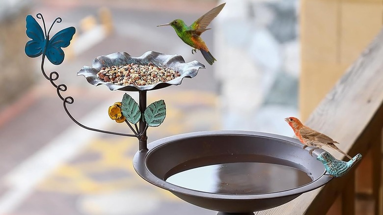 Closeup of the CaliDecor bird bath and bird feeder combo