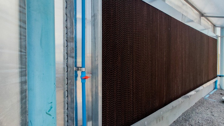 Evaporative cooling wall in greenhouse