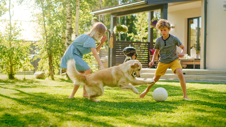 kids playing outside