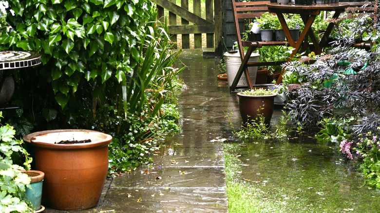 A garden path and outdoor furniture in a garden flooded with rain.
