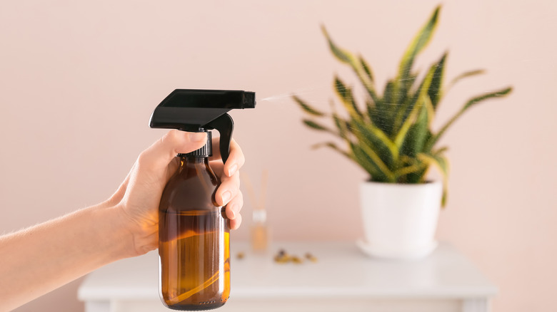 person using spray bottle