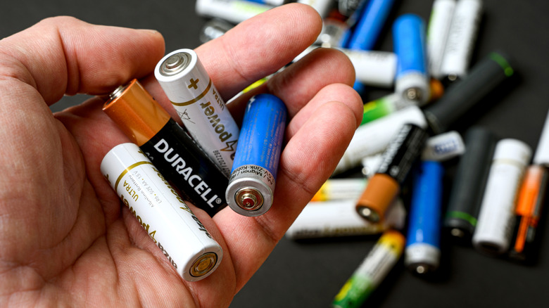 A hand holding a handful of alkaline batteries.