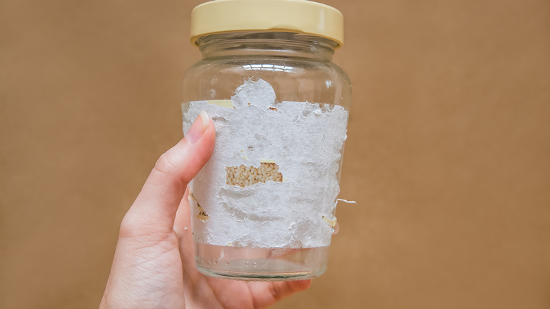 Person holding glass jar